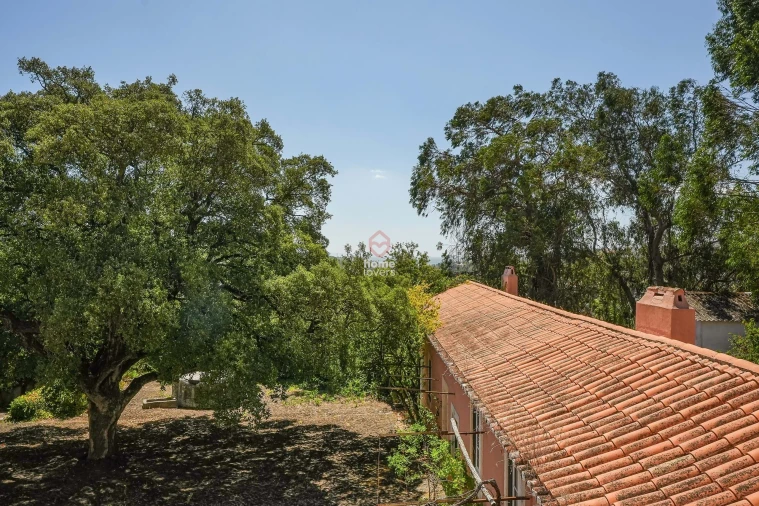 Quinta T6 para Venda em Barcarena Foto 38