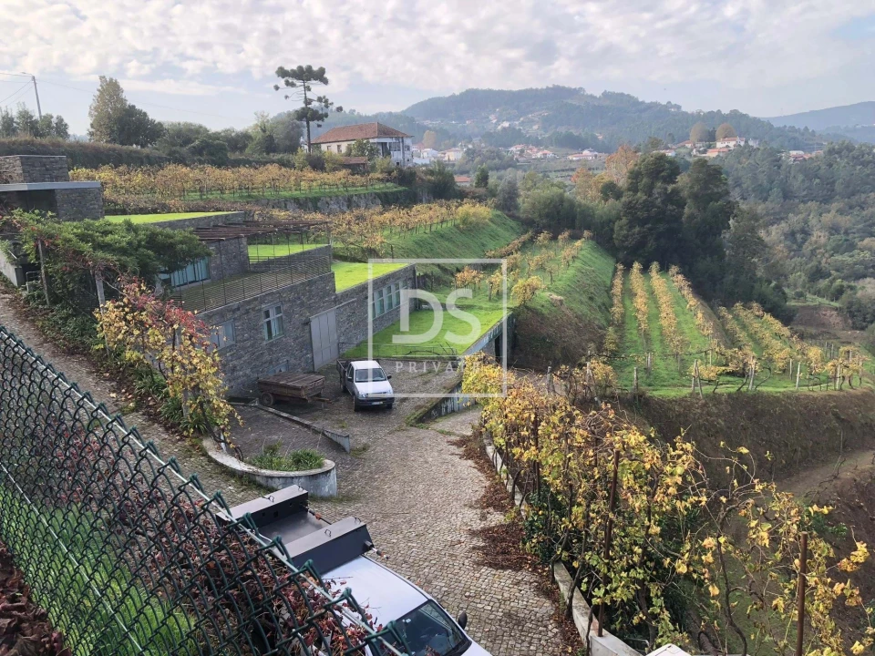 Quinta T7 para Venda em Fornos Foto 1