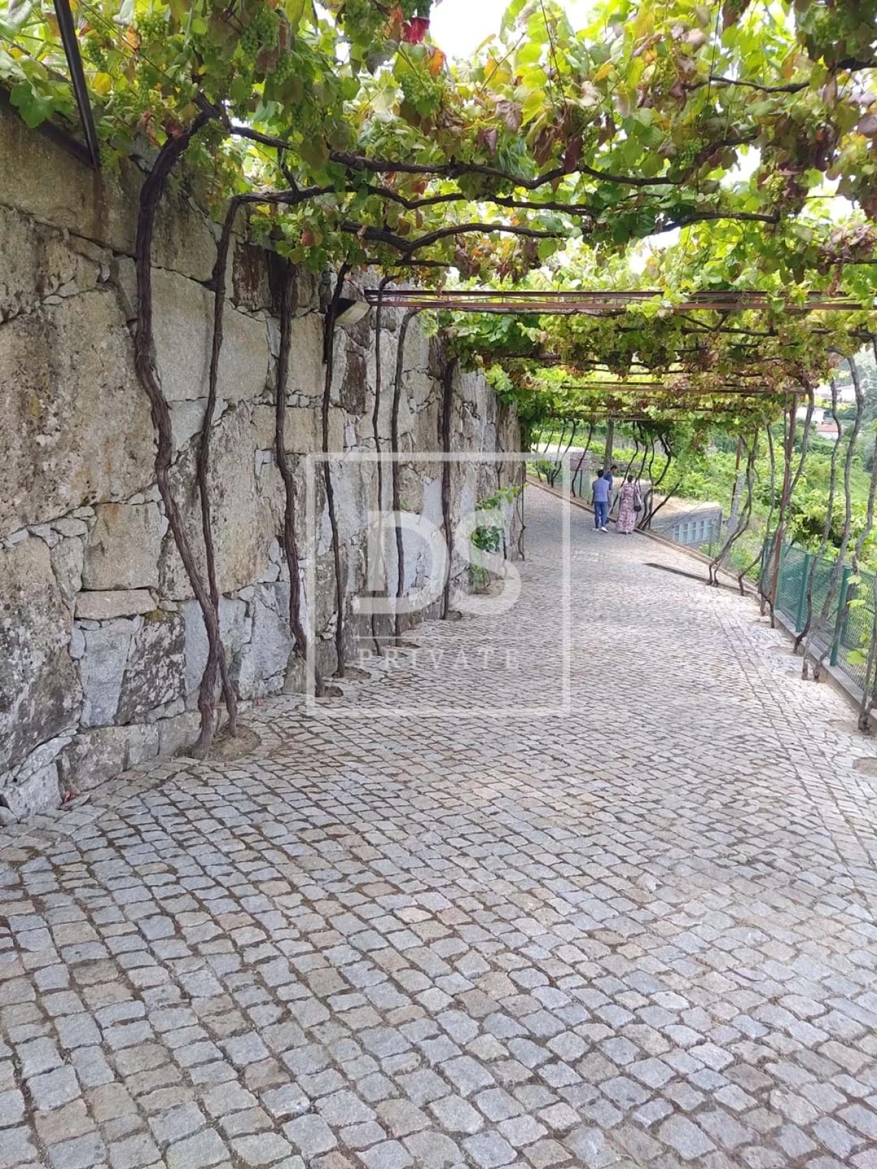 Quinta T7 para Venda em Fornos Foto 8