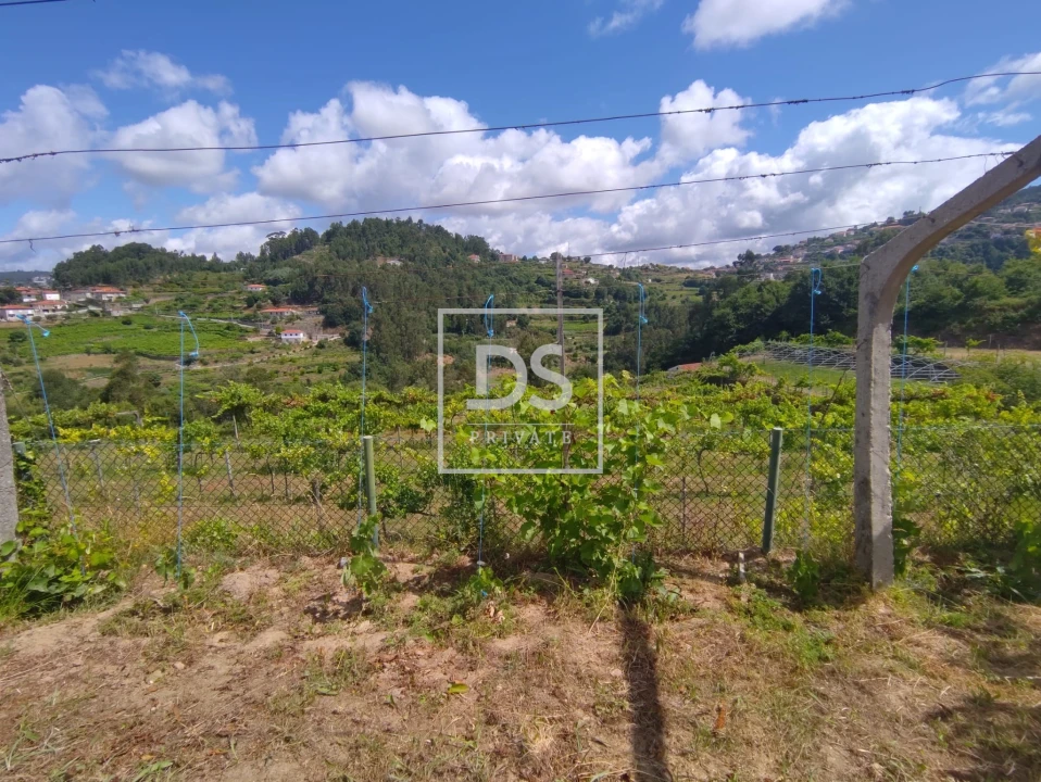 Quinta T7 para Venda em Fornos Foto 11