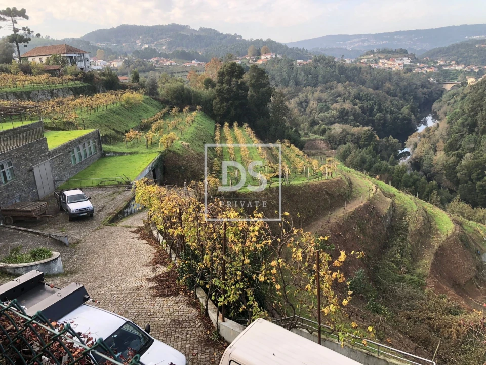 Quinta T7 para Venda em Fornos Foto 18