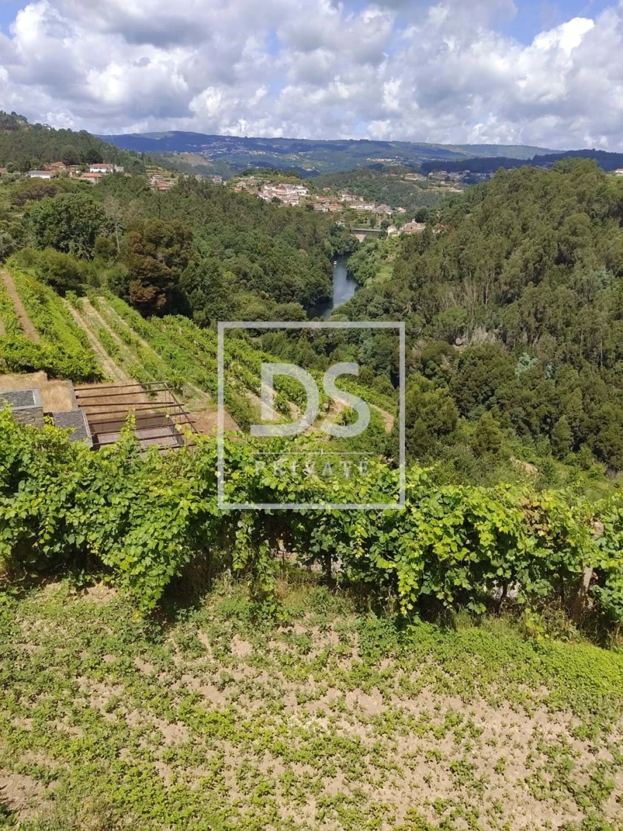 Quinta T7 para Venda em Fornos Foto 9