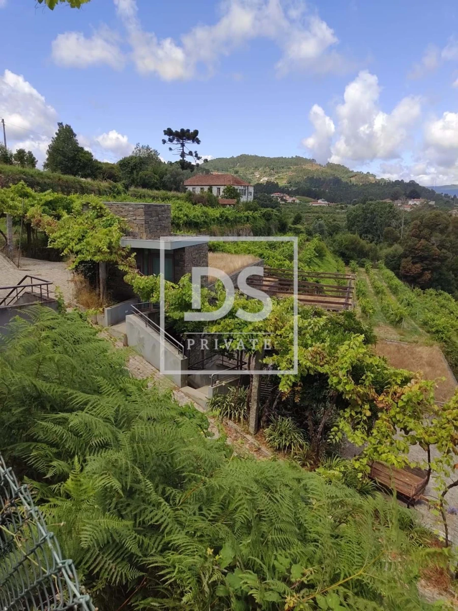 Quinta T7 para Venda em Fornos Foto 10