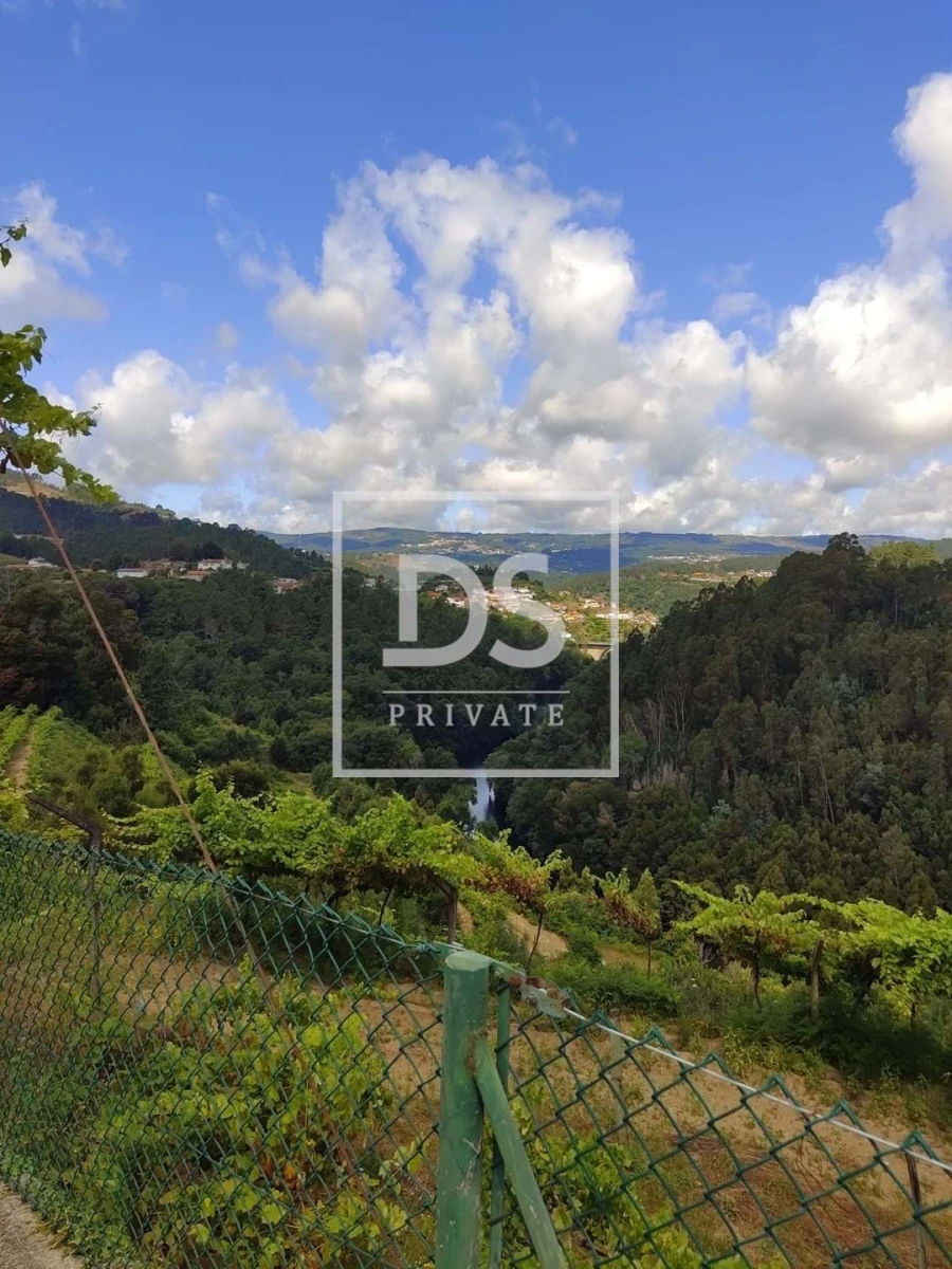 Quinta T7 para Venda em Fornos Foto 12