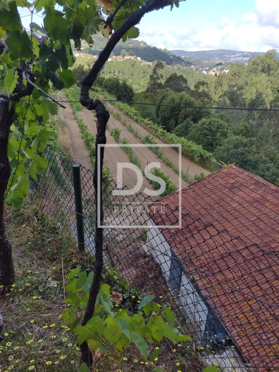 Quinta T7 para Venda em Fornos Foto 14