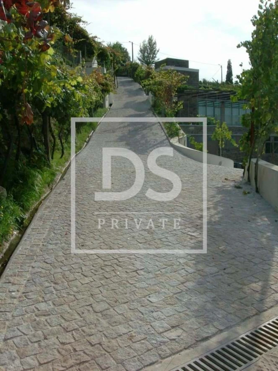 Quinta T7 para Venda em Fornos Foto 6