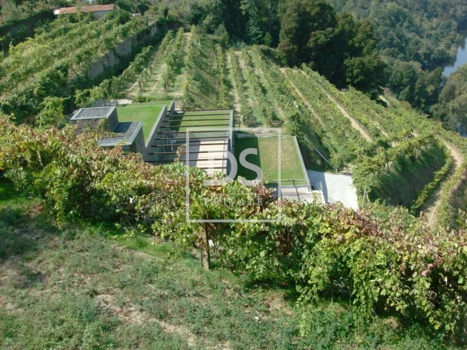 Quinta T7 para Venda em Fornos Foto 7