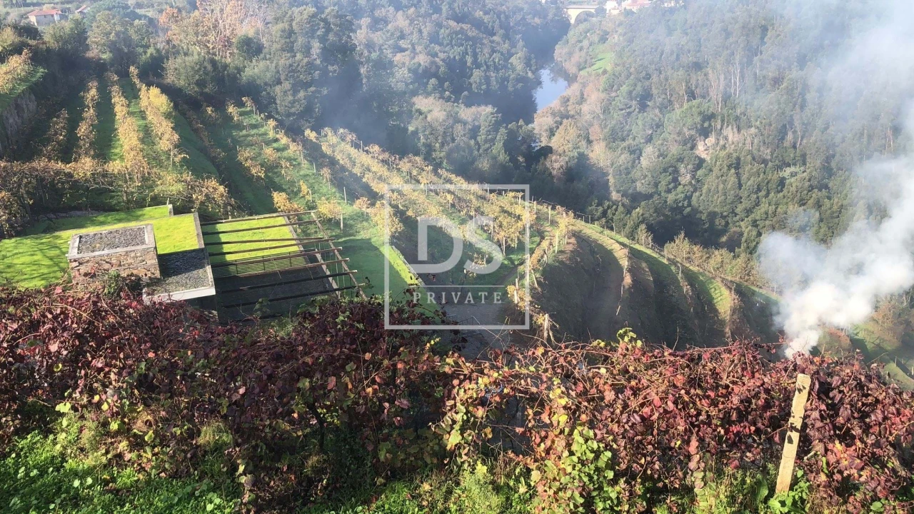 Quinta T7 para Venda em Fornos Foto 17