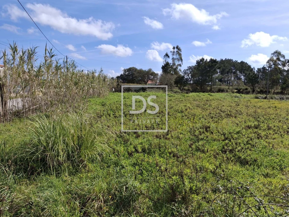 Terreno para Venda em Santo Isidoro Foto 3
