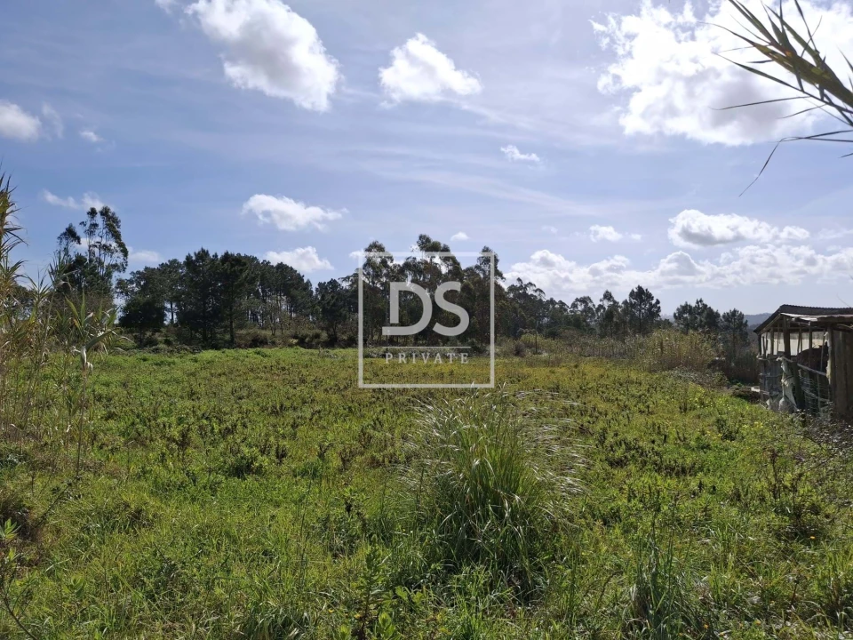 Terreno para Venda em Santo Isidoro Foto 6