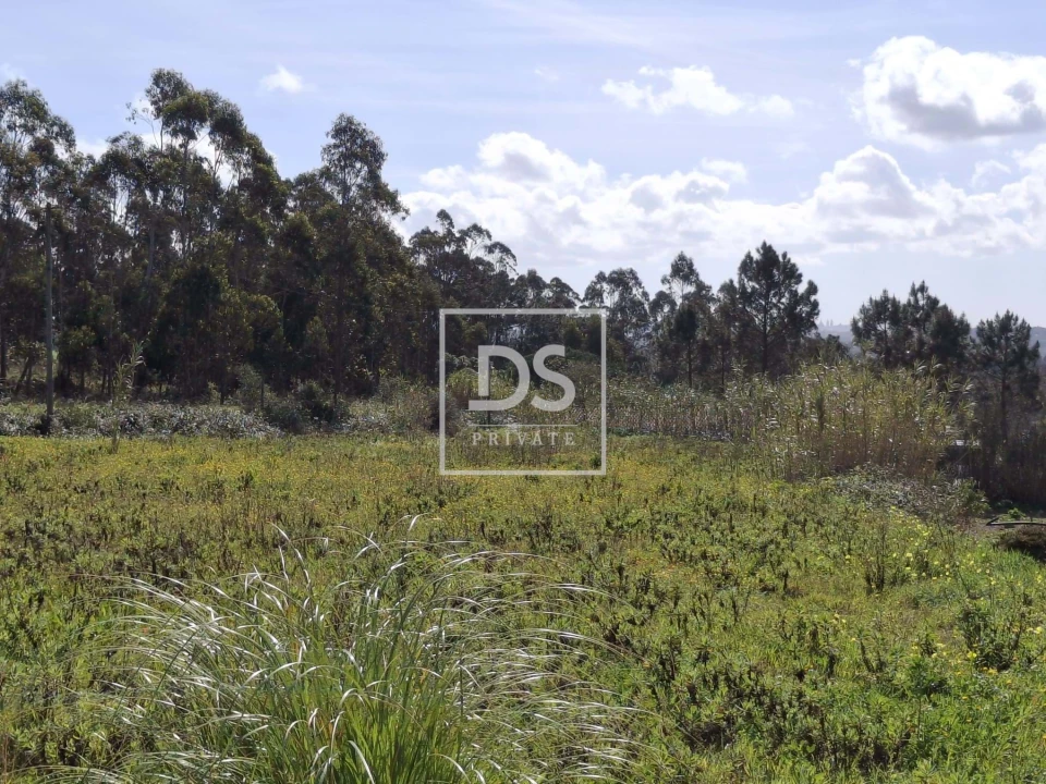 Terreno para Venda em Santo Isidoro Foto 5