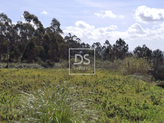 Terreno para Venda em Santo Isidoro Foto 5
