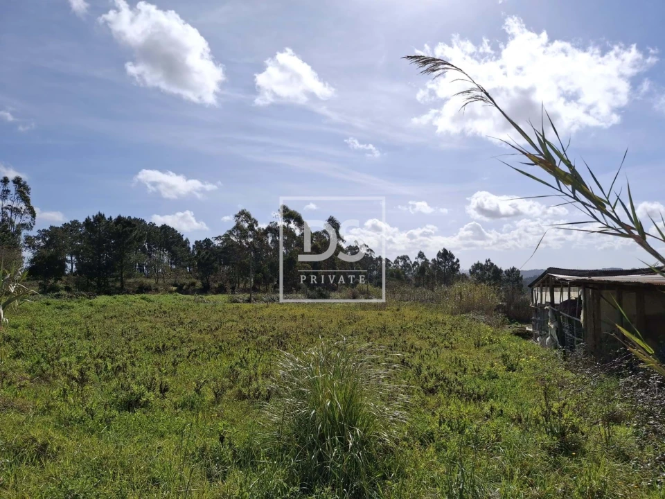 Terreno para Venda em Santo Isidoro Foto 4