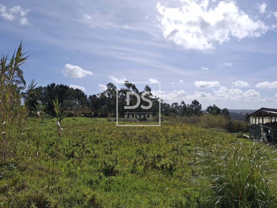 Terreno para Venda em Santo Isidoro Foto 8