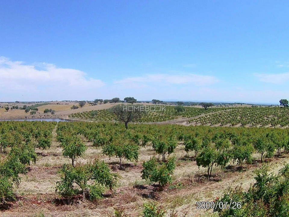 Terreno para Venda em Beja (Santiago Maior e São João Baptista) Foto 6
