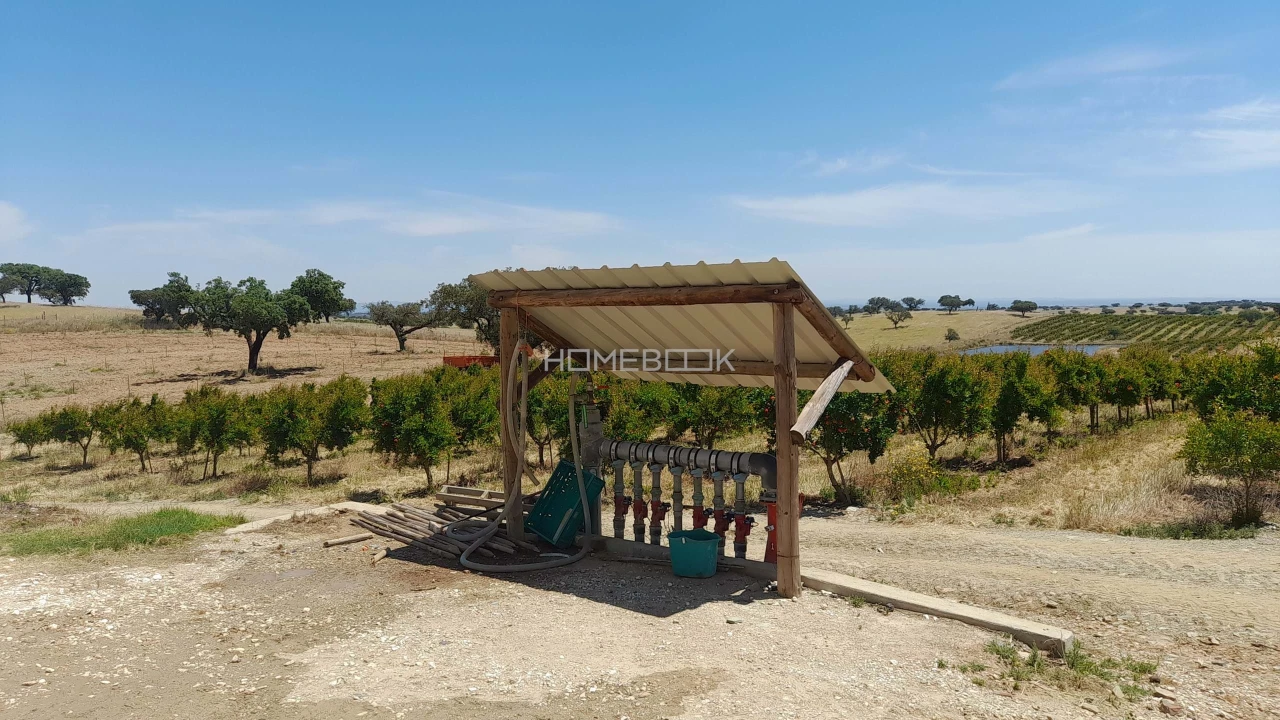 Terreno para Venda em Beja (Santiago Maior e São João Baptista) Foto 11