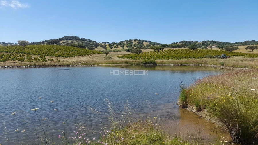Terreno para Venda em Beja (Santiago Maior e São João Baptista) Foto 1