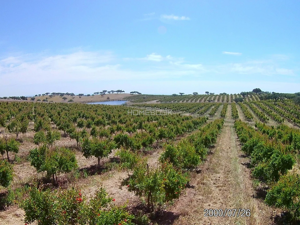 Terreno para Venda em Beja (Santiago Maior e São João Baptista) Foto 3