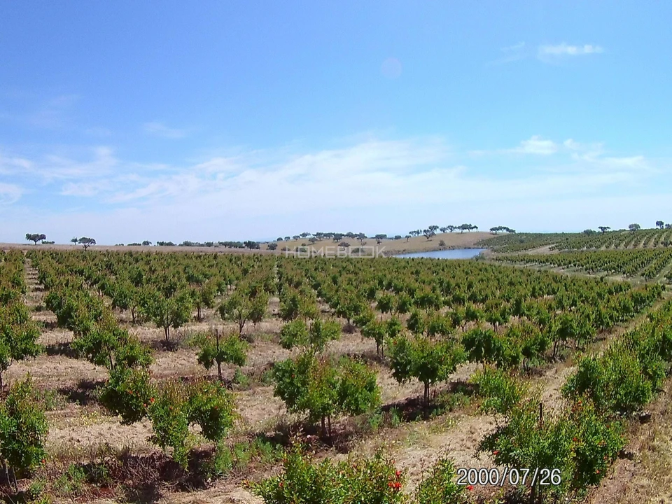 Terreno para Venda em Beja (Santiago Maior e São João Baptista) Foto 5