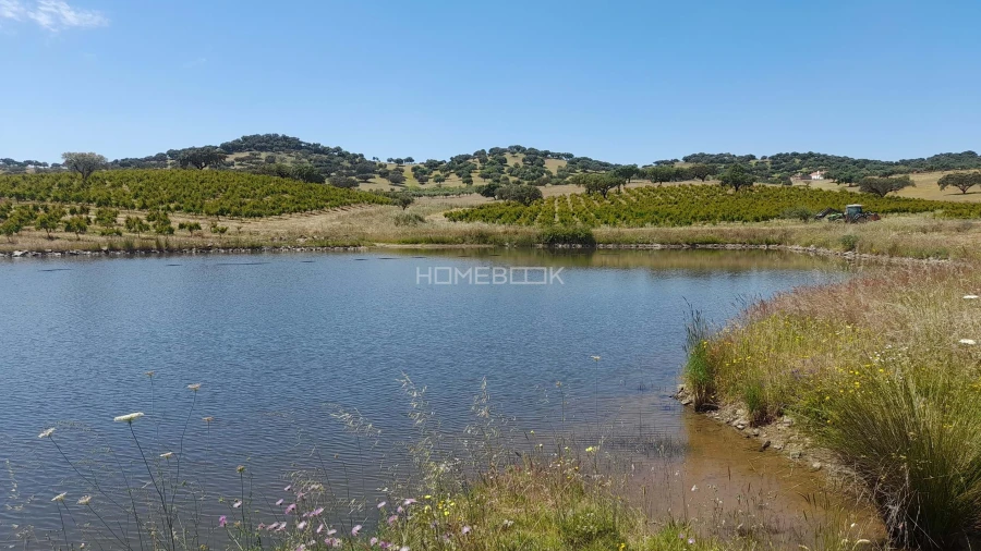 Terreno para Venda em Beja (Santiago Maior e São João Baptista)