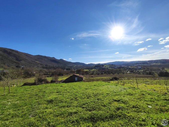 Quinta para Venda em Vilar de Nantes Foto 10