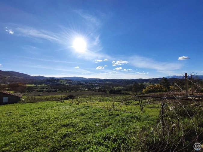 Quinta para Venda em Vilar de Nantes Foto 12