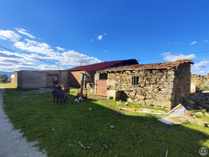 Quinta para Venda em Vilar de Nantes Foto 16