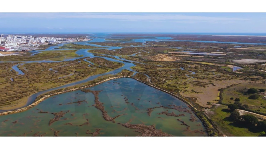 Moradia T4 para Venda em Montenegro Foto 21