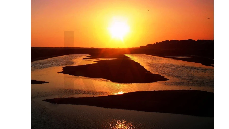 Moradia T4 para Venda em Montenegro Foto 19