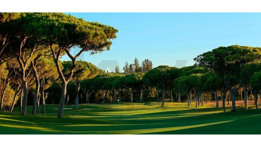 Moradia T4 para Venda em Montenegro Foto 20