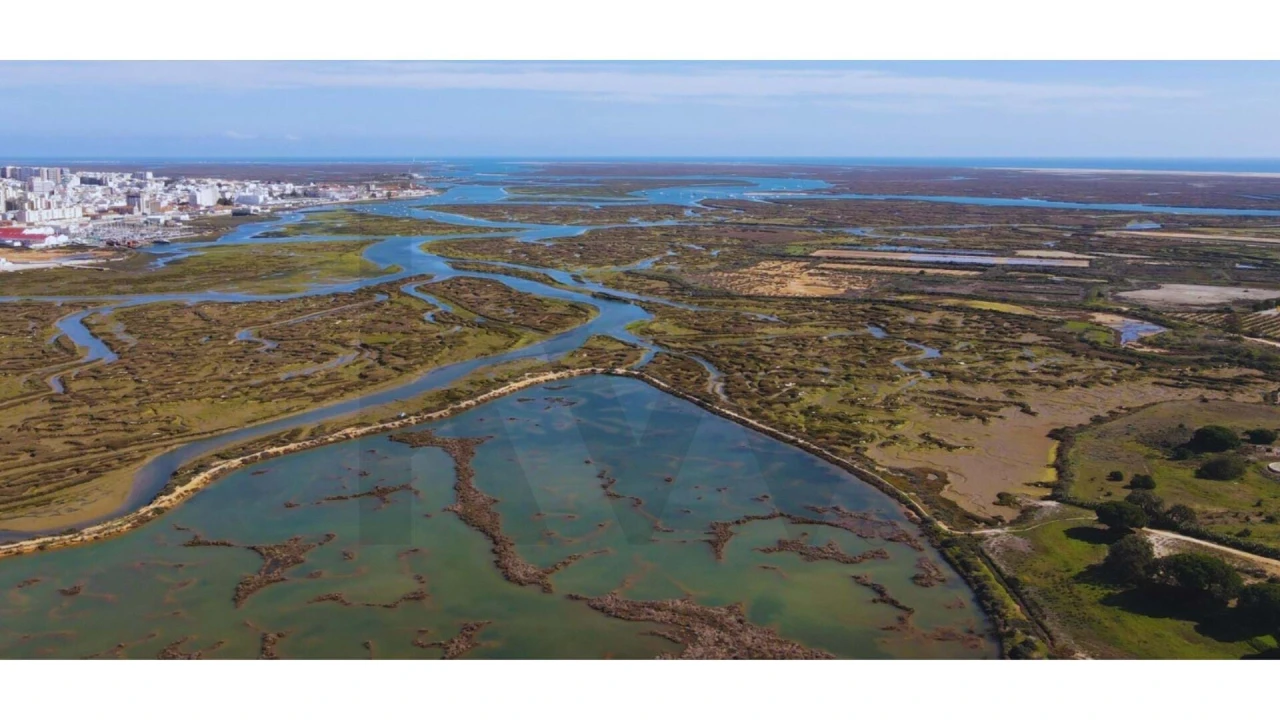 Moradia T4 para Venda em Montenegro Foto 21