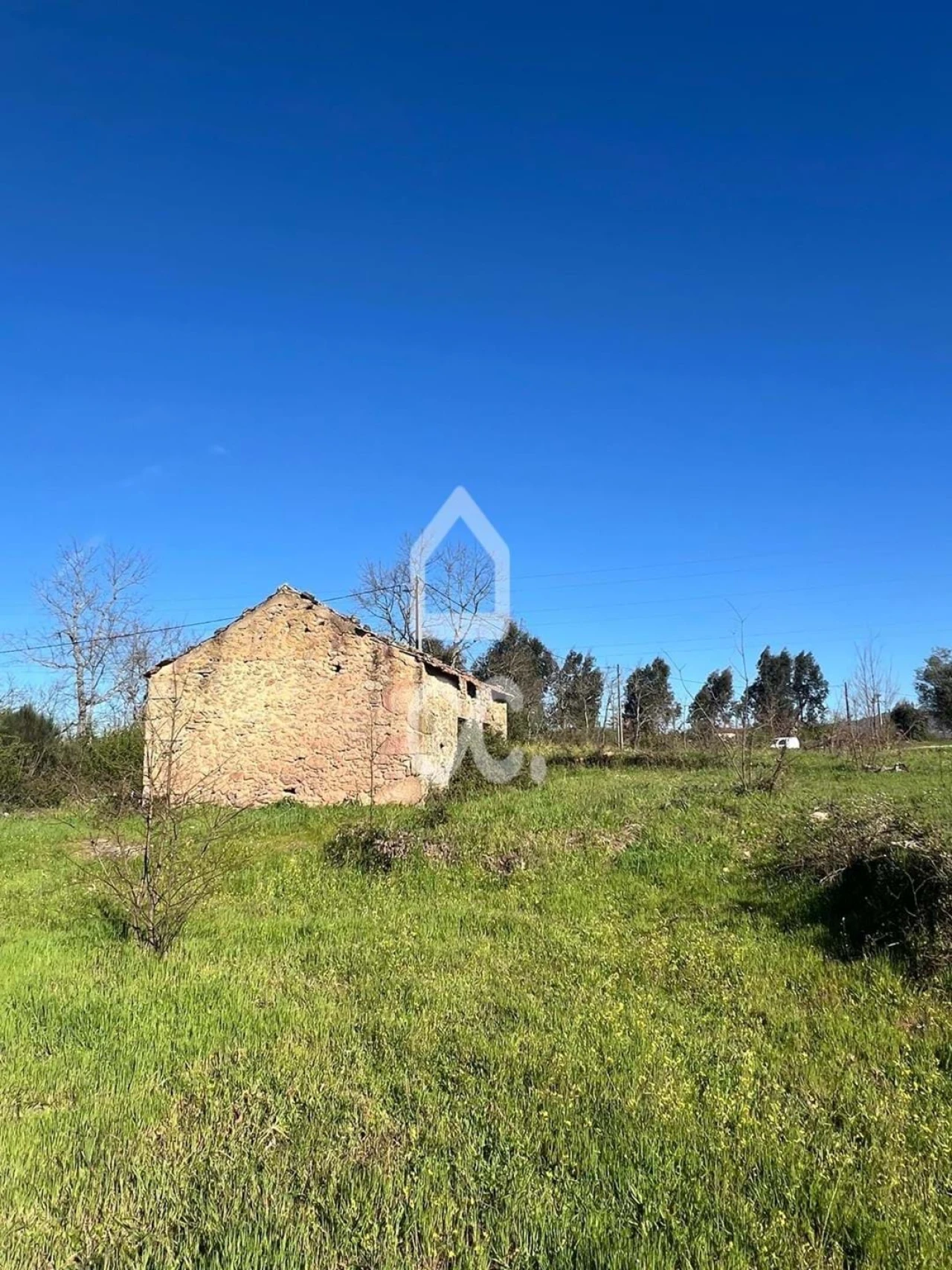 Terreno para Venda em Peraboa Foto 6