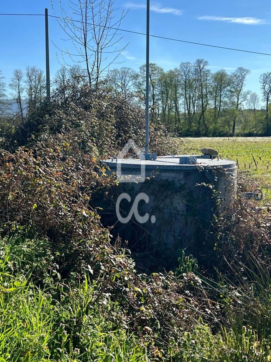 Terreno para Venda em Peraboa Foto 4