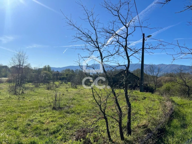 Terreno para Venda em Peraboa Foto 8