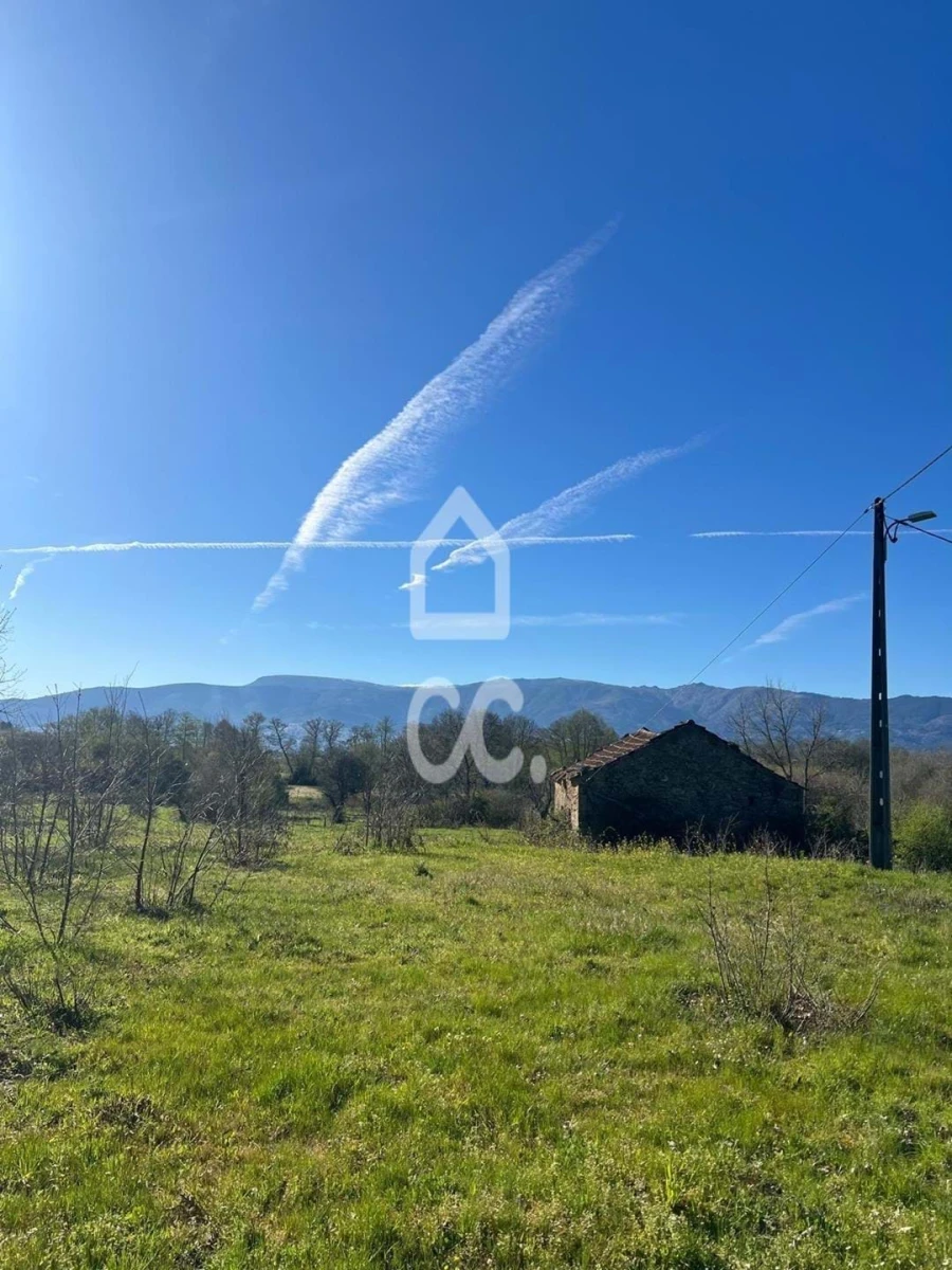 Terreno para Venda em Peraboa Foto 11