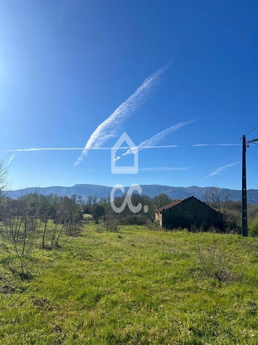 Terreno para Venda em Peraboa Foto 10