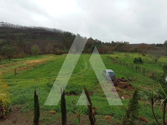 Moradia T4 para Venda em Macinhata do Vouga Foto 45