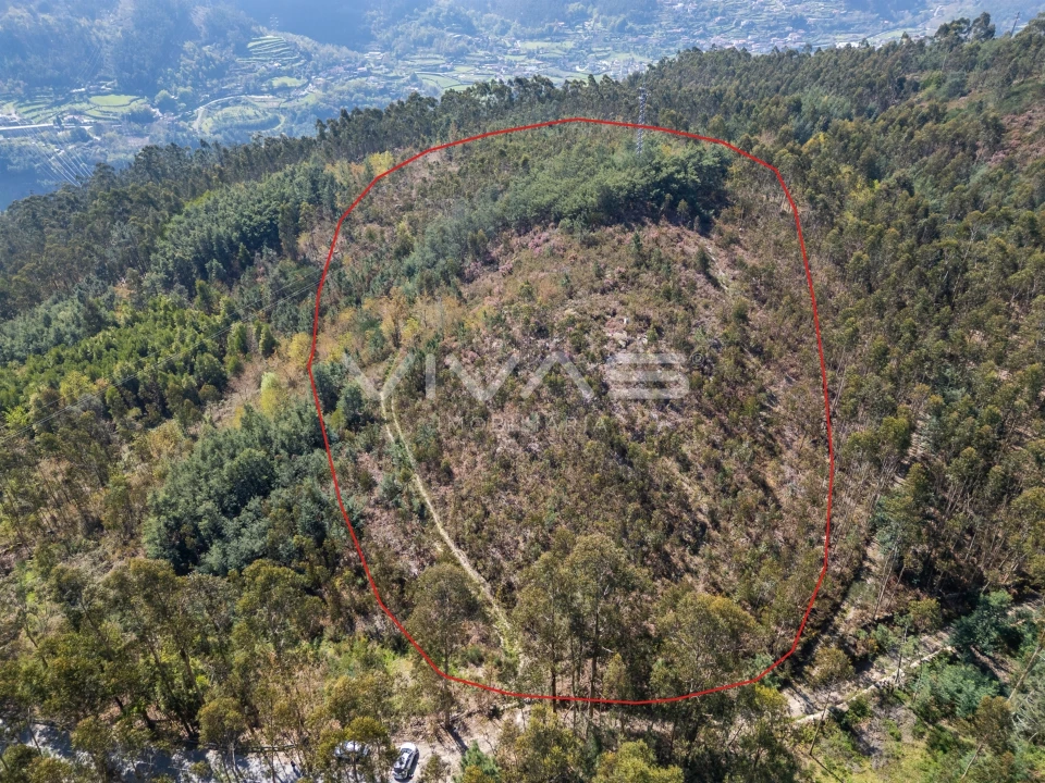 Terreno para Venda em Valdosende Foto 5