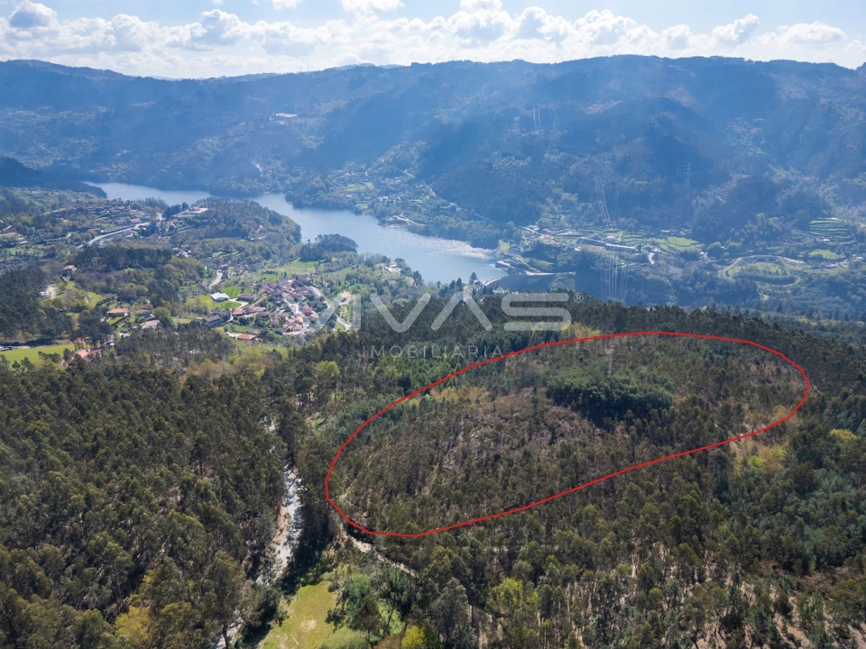 Terreno para Venda em Valdosende Foto 1