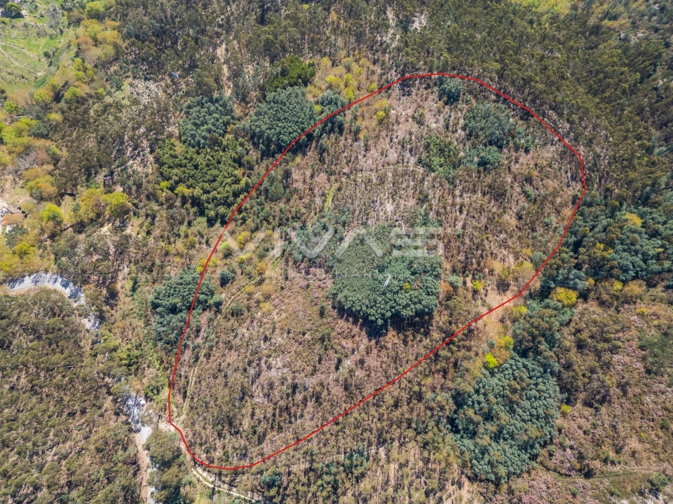 Terreno para Venda em Valdosende Foto 7