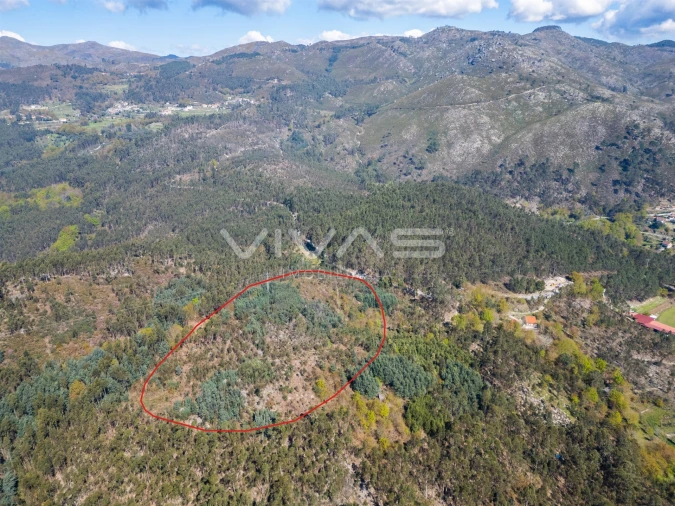 Terreno para Venda em Valdosende Foto 4
