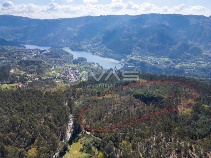 Terreno para Venda em Valdosende Foto 1