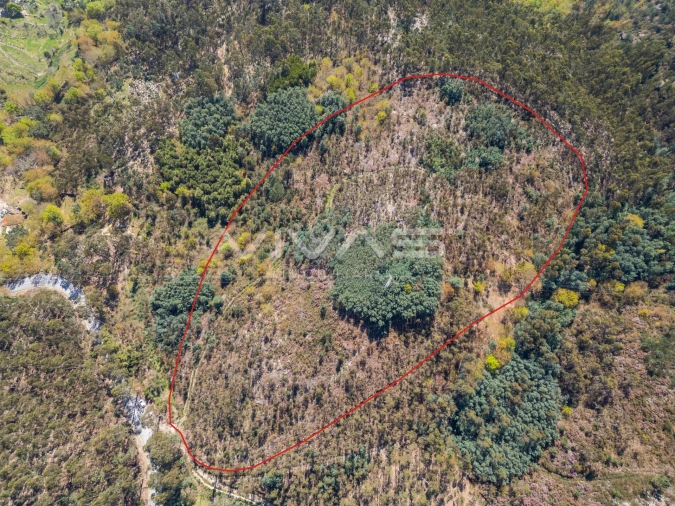 Terreno para Venda em Valdosende Foto 7