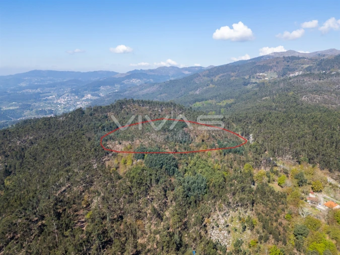 Terreno para Venda em Valdosende Foto 3