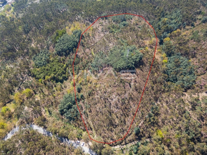 Terreno para Venda em Valdosende Foto 6