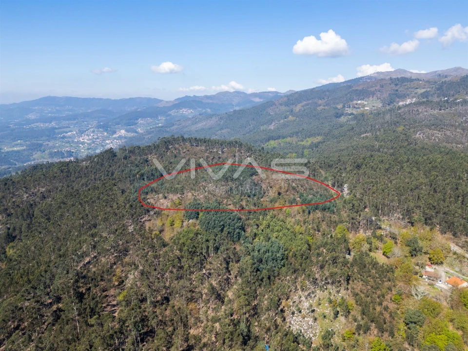 Terreno para Venda em Valdosende Foto 3