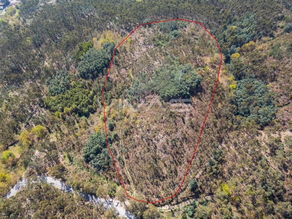 Terreno para Venda em Valdosende Foto 6