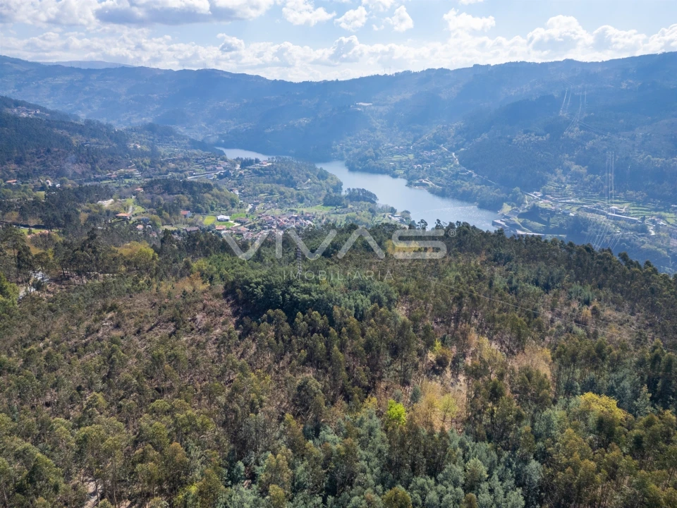 Terreno para Venda em Valdosende Foto 8