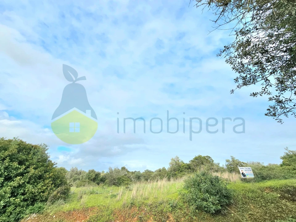 Terreno para Venda em Porches Foto 4