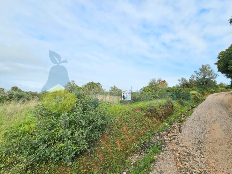 Terreno para Venda em Porches Foto 5